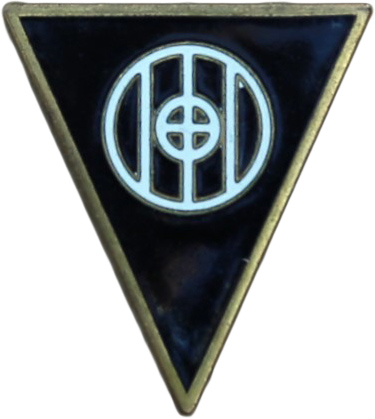Type 1